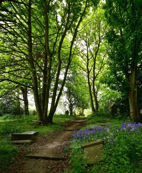 St Margaret's Allotments, Churchyard & Centre